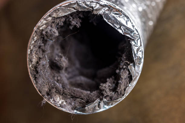 Best Affordable HVAC Duct Cleaning  in Shepherd, TX